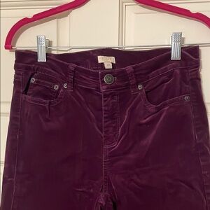 J. Crew velvet stretch purple pants